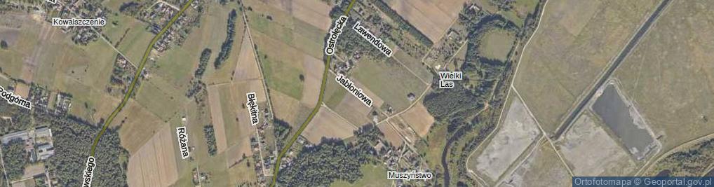 Zdjęcie satelitarne Jabłoniowa ul.